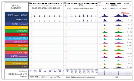 Identification of DUX4-rearranged ALL by the differential expression profile of the DUX4 gene clusters and ERG exons. The plot shows read depth coverage on 3 different chromosomal regions, that is, DUX4 multifamily gene array in the telomeric regions of chromosomes 4 and 10, and ERG gene on chromosome 21 aligned on the human Hg19 genome. DUX4 gene is exclusively expressed in the DUX4-rearranged group, and is associated, in most cases (27 of 35), with expression of an alternative exon 6 of ERG (ERGalt). The location of the ERGalt exon is shown in red. Screenshot of the IGV browser. ∗Here, 2 cases grouped within the PAX5-driven group and 1 in the iAMP21 group has an outlier expression of CRLF2. AJ2E, group of ABL-, JAK2-, and EPOR-fusion cases.