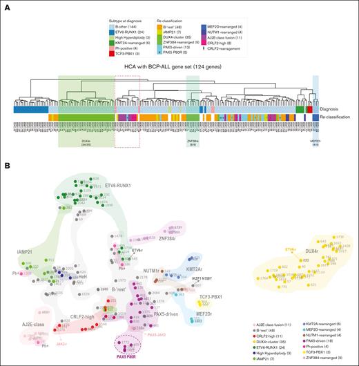 Unsupervised clustering analyses segregate specific subgroups of patients with shared gene-expression patterns. (A) HCA of the 144 B-other and 40 classical BCP-ALL samples based on the expression of 124 genes subtracted from a list of 864 genes selected by Liu et al (2016)11 for ALL classification. Resulting groups/column dendrograms are shown (Euclidean and ward D). The list of genes is presented in supplemental Table 2. Genetic annotations are split into 3 lanes: the first lane shows the initial classification into the classical subtypes; the second lane shows the subgroup classification among B-other ALLs, as provided by the present study; and the third lane shows patients’ identification. (B) Two-dimensional t-distributed stochastic neighbor embedding (t-SNE) plot of the 144 B-other and 40 classical BCP-ALL samples based on the 731 most variably expressed genes. Each dot represents a sample colored by subgroup. The 731 genes were selected and processed by the t-SNE algorithm with a perplexity score of 10. Of note, the 2 in-frame ETV6-fusion cases did not cluster together in gene-expression profiling analyses and thus were not classified in a separate subgroup of B-other ALL. AJ2E, group of ABL-, JAK2-, and EPOR-fusion cases.