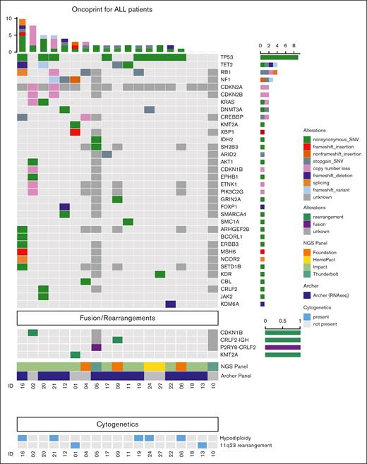 Cytogenetic and molecular features of lenalidomide-associated ALL. Oncoprint depicting somatic alterations and rearrangements/fusions identified by one of several NGS panels and targeted RNA-seq panels (eg, FoundationOne Heme and Archer FusionPlex) identified in evaluable patients developing B-ALL after lenalidomide therapy, including single-nucleotide variations (SNVs), insertions, copy number loss, deletions, and splicing variants. Dark grey boxes indicate the target gene/fusion was not evaluated in that patient; ∗, FoundationOne Heme panel includes RNA-seq.