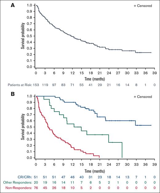 OS. (A) OS for patients in the full analysis population (N = 153). (B) OS for patients in the efficacy-evaluable population with CR/CRh (n = 51), other responders (n = 20), and nonresponders (n = 76). Other responders are patients with CRi, PR, or MLFS. Nonresponders are patients in response assessment categories other than CR/CRh, CRi, PR, and MLFS.