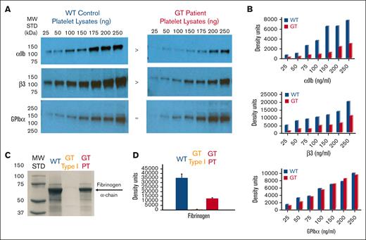 Quantitative analysis of the patient’s platelet proteins lysed in SDS show reduced integrin αIIbβ3 and fibrinogen levels consistent with variant form of GT. (A) Immunoblot analysis using Abs specific for detection of αIIb, β3, or GPIbα within platelet protein lysates. Increasing quantities of SDS–platelet protein lysates ranging from 25 to 250 ng were loaded into separate lanes of 10% polyacrylamide gels (PAGEs) and electrophoresed under nonreducing conditions. Following transfer to nitrocellulose, the blots were incubated with goat anti-human polyclonal antibodies to αIIb (136 kDa), β3 (125 kDa), or a mAb to human GPIbα (165 kDa). Immunoreactive bands were detected with an horseradish peroxidase–conjugated 2oAb followed by chemiluminescence exposure on radiograph film or a digital imager. The result shown is a representative blot (n ≥ 3 at 7 different lysate concentrations) demonstrating αIIb and β3 appear present at reduced density levels in the GT lysates compared with the WT control, whereas GPIbα appears at similar levels in GT vs WT. (B) Quantitative band density measurements performed with Image J software using photographic film of the immunoblots in panel A exposed to chemiluminescence demonstrate that patient with GT αIIb (30% ± 8%) and β3 (39% ± 11%) is present at reduced levels when comparing the band density with the WT control. As anticipated, the platelet GPIbα levels of patient with GT (94% ± 11%) are nearly identical to a WT control arbitrarily set at 100% in each image. The graphs show MFI in density units for measurements at different concentrations in panel A and converted to percentage ± SEM of WT arbitrarily set at 100% for each representative blot (n = 4). (C) Western immunoblot analysis of platelet protein lysates to detect fibrinogen. Protein (10 μg) was loaded onto a 4% to 20% gradient PAGE and SDS-PAGE performed under reducing conditions. Following transfer to nitrocellulose, the blot was incubated with mouse mAb (5C5) directed against the fibrinogen α-chain (60 kDa). Immunoreactive bands were detected by horseradish peroxidase–labeled m-IgGĸ binding protein, followed by chemiluminescence and detection on photographic film or digital analyzer. As expected, fibrinogen detected in WT platelets was arbitrarily set as the normal level in the (+) control (blue). The apparent absence of fibrinogen in patients with GT type I (αIIbβ3-deficient) platelets served as a (−) control (yellow). Although in stark contrast, appreciable levels were observed in our sample from patient with GT (red). Shown is results of 1 representative blot (n = 4) measured at 3 different exposure times. (D) Fibrinogen band density measurements performed on immunoblot in panel C with Image J software on a scan of the photographic film or digital image used to quantitate the protein level in platelet lysates showed that fibrinogen of patients with GT is present at 34% ± 3% of WT levels of fibrinogen consistent with the levels of αIIb and β3 detected in panel C, while type I GT (−) control had 1.2% ± 0.7% of normal levels. Shown is 1 representative analysis (n = 4 + SEM) measure for at least 3 different exposure times. MW, molecular weight; SDS, sodium dodecyl sulfate; STD, standard.