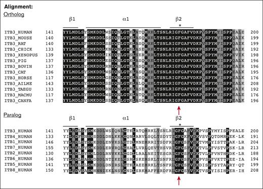 Protein sequence analysis shows amino acid F153 is completely conserved among β‑integrin subunits. Sequence alignment of partial amino acid sequence of ITGB3 (βI-domain, β2-strand) from various species (ortholog alignment) and from various human β-subunits (paralog alignment) indicates that phenylalanine (F)153 mature β3-subunit (amino acid number is 179 including propeptide sequence) is 100% conserved among species and in all human integrin β-subunits.