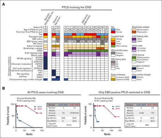 Integration of genomic profiling and clinicopathologic features identifies 3 distinct types of PTLD-CNS. (A) Oncoprint of genomic profiling results and clinical data from the PTLD-CNS cohort. Stratification was performed according to EBV status by in situ hybridization, presence or absence of systemic extra-CNS involvement, and pathogenic molecular alterations involving RAS family oncogenes (HRAS and NRAS) and known lymphoma oncogenes and tumor suppressor genes (MYD88, CD79B, KMT2D, and CDKN2A). (B) Kaplan-Meier survival analysis of patients with PTLD-CNS stratified by Ki-67 LI using a cutoff of 80%.
