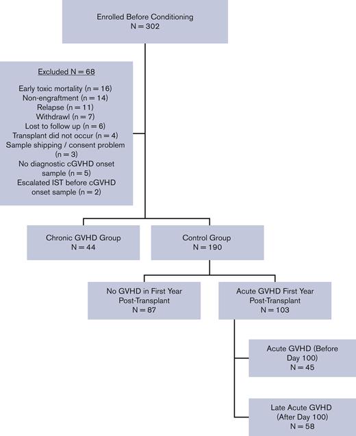 Consort diagram. IST, immune suppressive therapy.