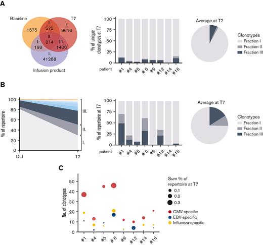 DLI-derived memory T cells are engrafted and recruited in the immune response. (A) Venn diagram shows the clonal overlap in number of unique clonotypes of patient #1. The bar graph shows the clonal overlap at T7 with the DLI separately for patients who received DLI as frequency of the total number of unique clonotypes at T7, whereas their average is shown in the pie chart. (B) Left graph shows the relative abundance of clonotypes overlapping between the DLI and T7 of patient #1. Roman numerals indicate the clonotype fractions shown in (A). The top 10 most abundant clones of fraction III are highlighted in color. The bar graph shows the abundance of overlapping clonotypes at T7 separately for patients who received DLI, whereas their average is shown in the pie chart. (C) DLI-derived engrafted clonotypes (fraction III) of each patient were analyzed for the presence of public TCR sequences known to harbor specificity for CMV-, Epstein-Barr virus- or influenza-derived epitopes.