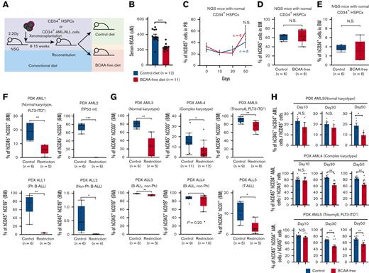 The BCAA-free diet suppresses human acute leukemia development in xenotransplantation models. (A) The schema for xenogeneic transplantation experiments to evaluate the effects of a BCAA-free diet on leukemia progression. (B) Changes in the concentration of serum BCAA in NSG mice 2 weeks after commencement of the BCAA-free diet. (C) Sequential changes in percentages of human cell chimerism in the blood of NSG mice reconstituted with normal CD34+ HSPCs after starting the BCAA-free diet (blue line, control group and red line, BCAA-free group). (D) Human cell chimerism in the bone marrow of NSG mice reconstituted with normal CD34+ HSPCs at 7 weeks after starting the BCAA-free diet. (E) Frequencies of hCD45+ hCD34+ HSPCs in the bone marrow of the NSG mice reconstituted with normal CD34+ HSPCs are shown. (F) Evaluation of engraftment and reconstitution potential of human AML and ALL cells in NSG mice fed the BCAA-free or control diet. Recipient mice were fed either diet, 10 days before transplantation. Six to 8 weeks after transplantation, tumor burdens were evaluated in the bone marrow. Results from 4 independent experiments are shown. (G) Percentages of human acute leukemia cells in the bone marrow of each group. (H) The changes in the frequency of CD34+ immature AML fraction during dietary restriction of BCAA in vivo. ∗P < .05, ∗∗P < .01, ∗∗∗P < .001, panels B, C, and H, mean ± SEM. BM, bone marrow; PB, peripheral blood; Ph, Philadelphia chromosome.