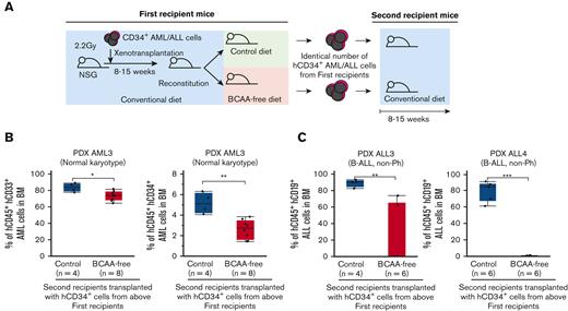 Restriction of BCAA inhibits self-renewal of human AML and ALL cells. (A) The schema for serial xenotransplantation experiments. The primary recipients were fed the BCAA-free or control diet for 5 to 7 weeks, and all secondary recipients were fed the control diet for 8 to 15 weeks. (B) Frequencies of human CD45+ AML cells and CD34+ immature leukemia cells in the bone marrow of secondary recipients that were transplanted with hCD34+ AML (PDX AML3) harvested from the first recipients with or without BCAA restriction (C) Frequencies of human CD45+ ALL cells in the bone marrow of secondary recipients transplanted with hCD34+ ALL cells harvested from the first recipients with or without the dietary restriction of BCAA (PDX ALL3 and PDX ALL4). ∗P < .05, ∗∗P < .01, ∗∗∗P < .001.