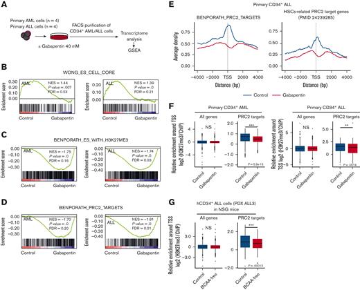 Inhibition of BCAA metabolism suppresses the PRC2 activity in human acute leukemia. (A) The schema for transcriptome assays in primary human CD34+ AML and ALL cells with or without gabapentin treatment. Global changes in expression profiles were analyzed by the GSEA method. (B) Enrichment plots of embryonic stem (ES) core genes (WONG_ES_CELL_CORE). (C) Enrichment plots of genes marked with H3K27me3 modification in their promoters in human ES cells (BENPORATH_ES_WITH_H3K27ME3). (D) Enrichment plots of PRC2-target genes in human ES cells. (E) Aggregation plots of H3K27me3 ChIP-seq signals centered at TSSs in the levels of ES PRC2 target genes (left panel) and HSCs-related PRC2 target genes (right panel). The blue and red lines show the control and the gabapentin-treated (40 mM for 16 hours) leukemia cells, respectively. (F) Box plots showing H3K27me3 ChIP-seq signal intensities for the whole or the ES PRC2 target genes at the TSS+5 kilobasepairs (kbp) in primary CD34+ AML cells (left) and CD34+ ALL cells (right). (G) Box plots showing H3K27me3 ChIP-seq signal intensities for all genes and ES PRC2 target genes at the TSS+5 kbp in hCD34+ ALL cells harvested from NSG mice treated with or without the dietary restriction of BCAA in vivo. The Wilcoxon test was used for statistical analysis. ∗P < .05, ∗∗P < .01, ∗∗∗P < .001. FDR, false discovery rate; GSEA, gene set enrichment analysis; NES, normalized enriched score; NS, not significant; TSS, transcription start sites.