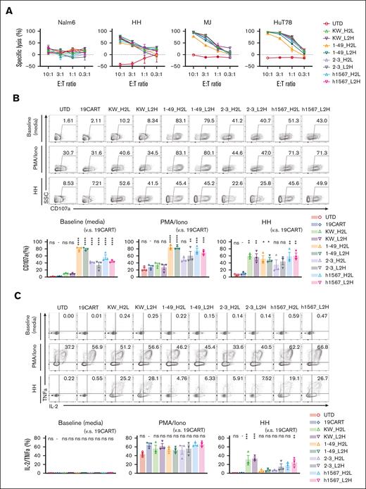 CCR4-CAR T cells specifically lyse CCR4-positive T-cell lymphoma cell lines and produce cytokines upon stimulation, whereas some CCR4 CAR constructs display ligand-independent T-cell degranulation. (A) Lytic activity of CAR T cells against tumor cell lines. CAR T cells and tumor cells expressing luciferase were incubated at the indicated E:T ratios. Specific lysis after 16 hours of coculture was determined based on the luminescence. Bars represent the means and standard deviation from technical triplicates. Data are representative of 3 experiments from 3 donors. (B) Degranulation of CCR4-CAR T cells. CAR T cells were stimulated with media, PMA-Iono, or HH cells at a 1:1 R:S ratio with CD107a detecting antibody and incubated for 6 hours. The cells were analyzed by FCM. The upper panels are representative flow plots for CD107a expression, the lower panels are pooled data from 3 experiments, and the 3 donors indicate baseline degranulation of CCR4CART cells derived from h1567 or its derivatives. The numbers in each column indicate the percentage of CD107a-positive populations. Dots and bars represent individual data from each donor and the SEM, respectively. (C) Cytokine production by CCR4-CAR T cells. CAR T cells were stimulated with media, PMA-Iono, or HH cells at a 1:1 R:S ratio and incubated in the presence of monensin for 6 hours. The cells were analyzed for intracellular cytokines using FCM. The upper panels are representative flow plots for IL-2 and TNFa expression, and the lower panels are pooled data from 3 experiments with 3 donors. The numbers in each column indicate the percentage of IL-2 TNF-a positive populations. Dots and bars represent individual data from each donor and SEM, respectively. ∗P < .05; ∗∗P < .01; ∗∗∗P < .001; ∗∗∗∗P < .0001; ns, not significant (vs CD19-CAR T group) using 1-way ANOVA with Tukey’s post hoc test.