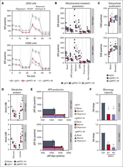 The MPC complex is required for bioenergetic capacity of MM cells. (A) OCR monitored by the Seahorse XF96 extracellular flux analyzer in JJN3 and U266 cells (n = 5). (B) Analysis of the different mitochondrial metabolic parameters obtained from the OCR in panel A. Significance was determined using two-way ANOVA followed by a Dunnett test. ∗P ≤ .05; ∗∗P ≤ .005; ∗∗∗P < .0001. (C) Quantification of basal ECAR and stressed ECAR in JJN3 and U266 cells (n = 5). Significance was determined using two-way ANOVA followed by a Dunnett test. ∗P ≤ .05; ∗∗P ≤ .005. (D) Media metabolite analysis of JJN3 (n = 4) and U266 cells (n = 5), with a focus on extracellular glucose and lactate. Significance was determined using two-way ANOVA followed by a Dunnett test. ∗P ≤ .05; ∗∗P ≤ .005; ∗∗∗P < .0001. (E) The metabolic capacity and flexibility of cells were represented by plotting the basal, oligomycin-treated, and maximal rates of ATP production from glycolysis (JATP gly) and oxidative phosphorylation (JATP ox), upon MPC1 knockout in both JJN3 and U266 cells (n = 5). (F) Fold change in the bioenergetic capacity and of cells described in panel A (n = 5). Significance was determined using two-way ANOVA followed by a Dunnett test. ∗P ≤ .05. OCR, oxygen consumption rate.