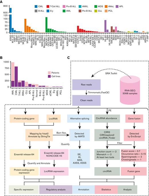 Statistics of all samples and workflow of transcriptomic analysis. (A) Sample distribution of leukemia cell lines in LeukemiaDB. (B) Sample statistics of each leukemia subtype in LeukemiaDB. (C) Schematic workflow of transcriptomic analysis in LeukemiaDB. aCML, atypical chronic myeloid leukemia; AML, acute myeloid leukemia; AMKL, acute megakaryoblastic leukemia; AMoL, acute monocytic leukemia; APL, acute promyelocytic leukemia; B-ALL, B cell acute lymphoblastic leukemia; CLL, chronic lymphocytic leukemia; Ery, erythroleukemia; MDS, myelodysplastic syndrome; PCL, plasma cell leukemia; T-ALL, T cell acute lymphoblastic leukemia.