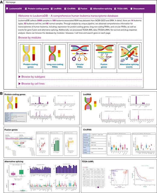 LeukemiaDB website. (A) LeukemiaDB’s homepage. (B) Six LeukemiaDB modules (protein-coding genes, fusion genes, AS, LncRNA, circRNA, and TCGA-AML) for integrated analysis of public RNA-seq data.