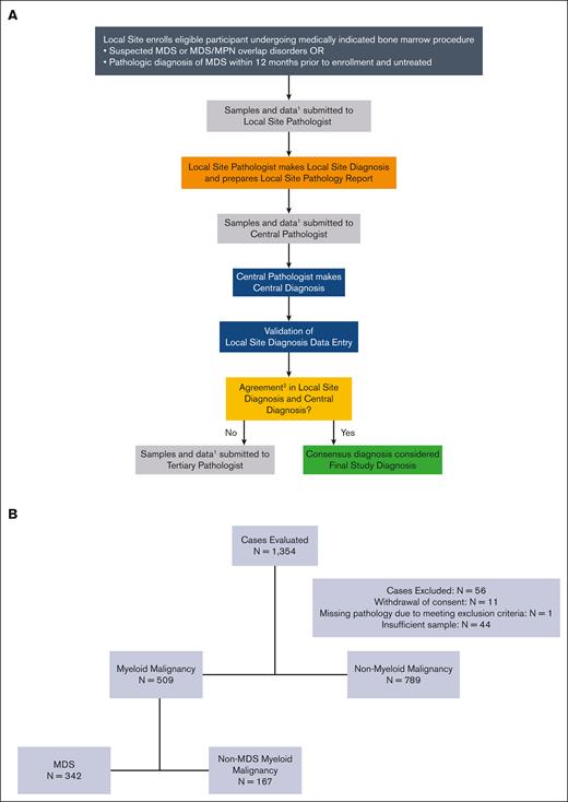 Overview of sample submission and patient enrollment. (A) MDS study pathology review flowchart. (B) Consort diagram for final diagnosis. 1Data available to the pathologists at the time of review included peripheral blood labs and smear, bone marrow aspirate and core/clot, flow cytometry, iron stain, cytogenetics, limited local molecular reports, patient clinical history, vitamin levels, reticulocyte counts, and immunohistochemistry. 2The National MDS Study relies on additional tertiary pathology review to adjudicate disagreements for disease classification when local and centralized pathology review are discordant.