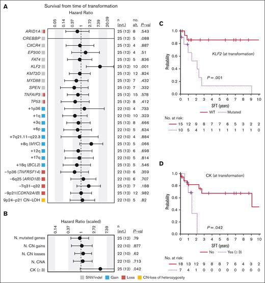 Survival from time of transformation. (A) Impact of genetic alterations or (B) the cumulative number of (N.) of genetic changes present at transformation on SFT. The impact is quantified with the hazard ratio and its 95% confidence interval. Continuous variables were scaled. The gray, red, blue, and yellow boxes indicate the type of genetic alterations found in each alteration (SNVs/indel, loss, gain, and CN-LOH, respectively). The right columns show: the number of cases (n) and events (evt.), the number of altered cases (no. alt.), and the P value (P-val) of the log-rank test (for dichotomous variables) or of the Cox regression (for continuous variables). Only alterations with at least 4 altered cases at transformation are shown. Complex karyotype (CK) is dichotomized and defined by the presence of 3 or more aberrations. (C-D) Kaplan-Meier curves of SFT based on (C) the presence of KLF2 mutations or (D) complex karyotype at transformation.
