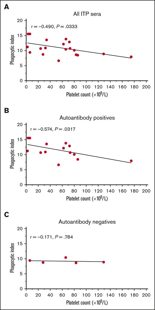 The magnitude of phagocytosis of platelets mediated by autoantibody-positive ITP serum related to the platelet count. The mean phagocytic index mediated for each ITP serum was explored for a potential relationship with the patient’s platelet count at the time of sera collection. All patients with ITP negative for MHC class I alloantibodies (19 total patients) were included in this analysis. (A) All ITP sera vs platelet count. (B) IgG autoantibody-positive ITP sera (any specificity by the indirect MAIPA) vs platelet counts. (C) IgG autoantibody-negative ITP sera vs platelet counts. The mean phagocytic index is shown for each patient. Data had a normal (Gaussian) distribution by the Shapiro-Wilk test and Pearson correlation coefficients were computed. A simple linear regression line for visualization is depicted.