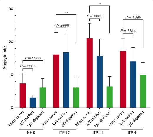 Protein G purified IgG from human ITP serum retained the capacity to trigger macrophage phagocytosis of platelets. Serum from patients with ITP or NHS were fractionated via protein G into purified IgG and IgG-depleted protein fractions. Unfractionated whole serum, IgG-purified, or IgG-depleted fractions were then incubated with normal donor platelets and assessed for the ability to trigger macrophage phagocytosis. Each serum or serum fraction was evaluated over n = 3 to 5 independent experiments and whole NHS was evaluated over n = 7 independent experiments. THP-1-CD16A macrophages were used as phagocytes. Phagocytosis was performed as described in the “Methods” and quantified from fluorescent photomicrographs. ∗∗P ≤ .01, by ordinary one-way analysis of variance (ANOVA) with Šídák’s multiple comparisons test, except for the comparisons of ITP 17 sera vs ITP 17 IgG-purified and ITP 4 sera vs ITP 4 IgG-depleted, which were computed via the nonparametric Kruskal-Wallis test with Dunn’s multiple comparisons test. Data was tested for normal (Gaussian) distributions by the Shapiro-Wilk test. Phagocytic index: number of phagocytosed platelets per 100 counted macrophages. Error is presented as mean ± 1 SD.