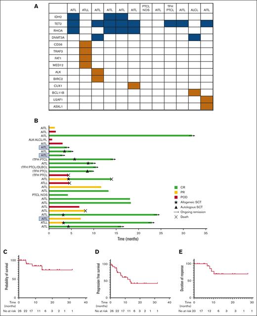 Romidepsin and azacitidine in patients with PTCL treated in a real world setting. (A) Mutations identified in patients who had next generation sequencing (blue squares represent mutations in RHOA, IDH2, TET2 and DNMT3A, orange squares are other mutations). (B) Outcomes and duration of response in patients treated with romidepsin and azacitidine in a real-world setting. Green lines: complete remission; yellow lines: partial remission; red lines: progression of disease; black star: allogeneic stem cell transplant; black triangle: autologous stem cell transplant; black arrow: ongoing remission; black St. Andrews cross: death. Frontline treated patients are highlighted on the y axis with blue squares. (C) Overall survival. (D) Progression free survival. (E) Duration of response.