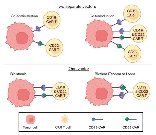 Strategies for dual anti-CD19/CD22 CAR construct production.