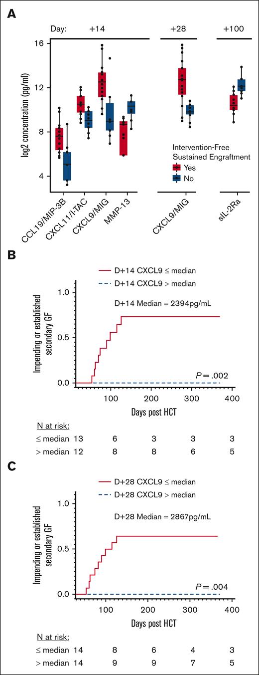 MC and impending or established secondary GF stratified based on CXCL9 levels. (A) Grouped plasma proteomic expression in patients with and without intervention-free sustained engraftment. Five analytes were identified to be statistically significant (maximum false discovery proportion of 0.1 at an 80% confidence level). (B) Cumulative incidence of secondary GF, impending or established, stratified by median D+14 CXCL9 level, 2394 pg/mL. (C) Cumulative incidence of secondary GF, impending or established, stratified based on median D+28 CXCL9 level, 2867 pg/mL. D+14, day +14 after HCT; D+28, day +28 after HCT.