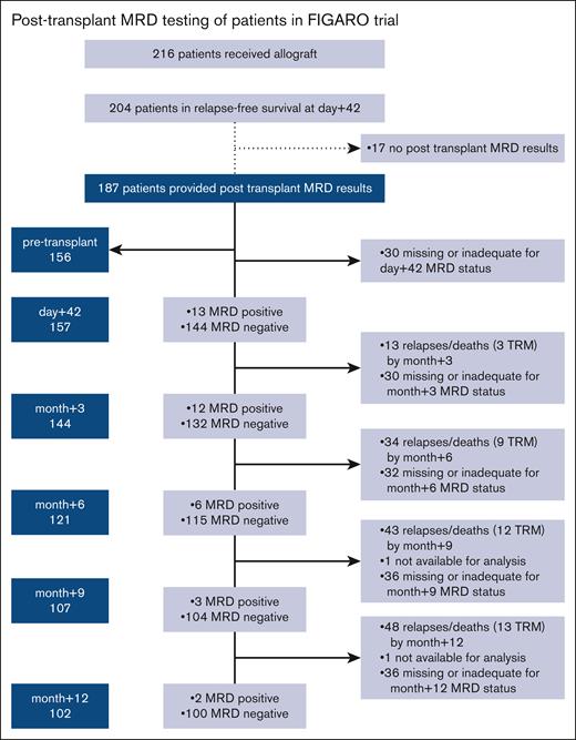 Posttransplant MRD testing among patients in FIGARO trial. MRD results are depicted for remission marrows.
