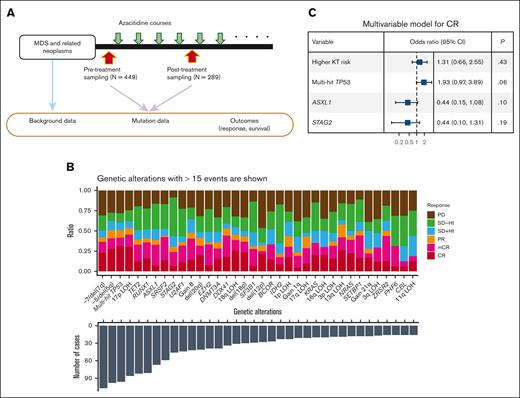 Genetic and clinical factors associated with response and OS. (A) A summary chart of the study design. (B) Bar plots showing the number of cases with the genetic alterations indicated on the x-axis (bottom) and with the proportion of the cases showing response indicated by color (top). (C) A forest plot showing the result of a multivariable logistic regression analysis for the factors associated with achieving CR with complete data for response analysis (n = 396). Explicative variables included in the multivariable model are high-risk karyotypes (poor and very poor groups based on IPSS-R–based karyotype risk classification), multihit TP53 mutations, and mutations in ASXL1 and STAG2. The x-axis is log10 scaled. CI, confidential interval.