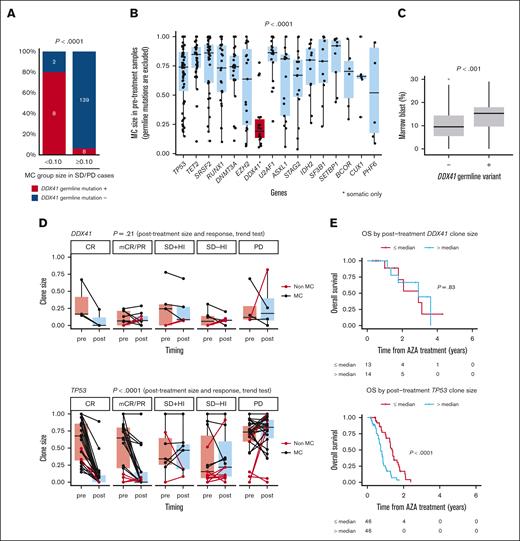 Somatic DDX41-mutated clone size does not correlate with blast ratio or response to treatment. (A) Percentage of the cases that have DDX41 germ line variants is shown among the cases showing SD/PD with MC group sizes <0.10 (n = 10) and ≥0.10 (n = 147). P < .0001, using Fisher exact test. (B) Box plots showing the size of MC groups in pretreatment samples that have mutations in the genes indicated on x-axis. MC groups with somatic DDX41 mutations are highlighted with red color. P value is derived from a two-sided t test for comparison of pretreatment MC sizes represented by DDX41 and the other genes. (C) Box plots showing marrow blast percentage for the cases with or without DDX41 germ line mutations. P value is derived from a two-sided t test. (D) Paired box plots showing the changes in clone size between pre- and posttreatment samples with mutations in DDX41 (top) and TP53 (bottom). The same mutations are connected by lines. Colors of lines represent whether they are MC (black) or not (red). P values are derived from Jonckheere-Terpstra tests under the hypothesis that there is no correlation between clinical response and posttreatment clone sizes. (E) Kaplan-Meier estimates of OS per clone sizes in posttreatment samples. Cases with somatic DDX41 mutations (top; n = 27) and TP53 mutations (bottom; n = 92) are shown. The posttreatment clone sizes were divided by the median value for each gene. The number of the cases at risk at each time is indicated in the table below. P values are derived from two-sided log-rank tests. HI, hematological improvement.