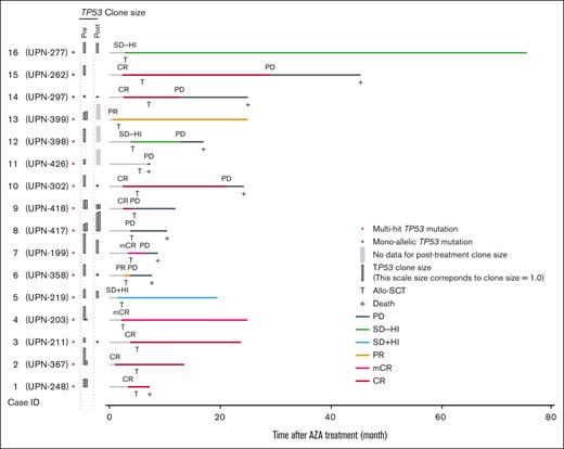 The role of posttreatment clone size in predicting posttransplant outcomes. A swimmer plot showing the clinical course for the 16 cases who underwent transplant with TP53 mutations. Red and black asterisks indicate TP53 allelic state. Colors of horizontal bars indicate the period having the clinical state. Vertical bars show the clone size of TP53 variants in pre- and posttreatment samples.