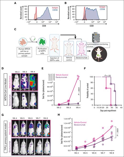 Preclinical efficacy of daratumumab in CD38-expressing MTCN-bearing mice in 2 different xenograft models. (A) CD38 expression in HuT-78 depicted as histogram of CD38 compared with isotype control-stained cells. (B) CD38 expression in luciferase-GFP–transduced T-PLL cells from patients depicted as histogram of CD38 compared with isotype control-stained cells. (C) Schematic diagram showing experimental design: HuT-78 or primary T-PLL cells from patients were transduced with the lentivirus expressing firefly luciferase-GFP, sorted to >99% purity, and transplanted into Rag−/−γc−/− mice with 2 or 4 million cells, respectively. Mice with PDXs were evaluated for leukemia cell engraftment on an IVIS imager (Perkins-Elmer). After confirming the engraftment of leukemia cells in vivo (1 week for HuT-78 and 3 weeks for primary T-PLL), cohorts of mice were randomly assigned to treatment with vehicle or 8 mg/kg daratumumab (Darzalex Faspro formulation with subcutaneous administration) once a week. Mice were imaged weekly using an IVIS imager, starting 1 week after treatment initiation. Figure made with biorender.com. (D) Representative bioluminescence images of HuT-78 mice with PDXs demonstrating leukemia burden in vehicle-treated (red) and daratumumab-treated (black) cohorts at weeks 2, 3, and 4 after treatment initiation. (E) Luciferase bioluminescence intensity was quantified by measuring total flux (photons/s) in mice using the IVIS-100 and Living Image software at each time point (vehicle n = 5, but 2 vehicle mice died before the week-4 imaging time point; daratumumab n = 4; P < .0001). (F) Survival curve of HuT-78 mice with PDXs treated with vehicle (pink) compared with daratumumab (purple; P = .02). (G) Representative bioluminescence images of mice with xenografts derived from patients with T-PLL demonstrating leukemia burden in vehicle and daratumumab-treated cohorts over time. (H) Luciferase bioluminescence presented as total flux (photons/second) over time of mice with xenografts derived from patients with T-PLL treated with daratumumab (n = 5, purple) vs vehicle (n = 4, pink; P < .0001).