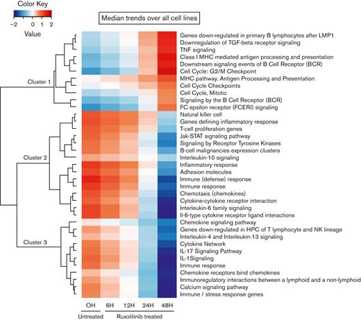 TcGSA. Unsupervised clustering of significant gene sets (nominal P < .05). The heatmap illustrates the dynamic trends of gene sets over time (supplemental Table 3).