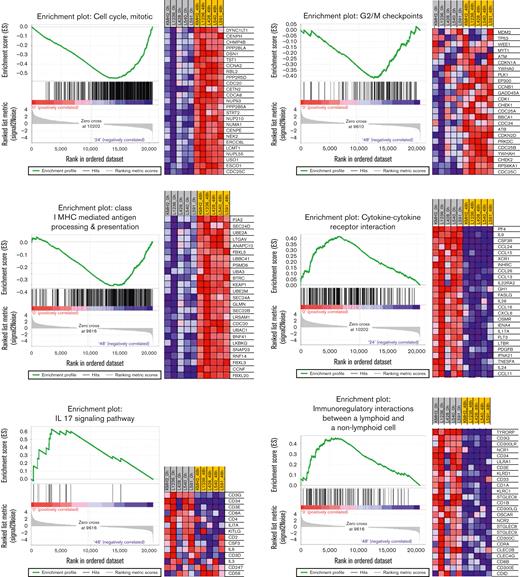 GSEA of representative gene sets (left) and heat maps with the most significant genes (right) (P < .01, FDR < 0.1). FDR, false discovery rate.