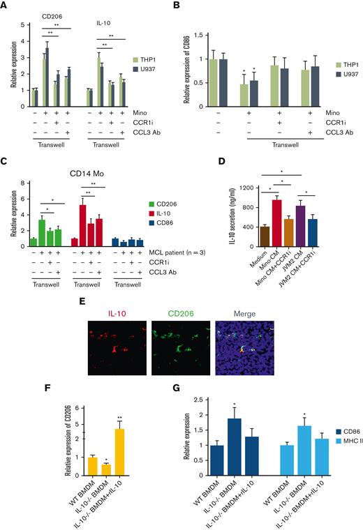 Effect of inhibition of CCL3-CCR1 axis on macrophage programming. (A-B) THP1- and U937-MΦ were cocultured with Mino cells and treated with or without 1μM CCR1 inhibitor or 0.5 μg/mL of CCL3 neutralizing antibody for 48 hours and expression of CD206 and IL-10 (A) or CD86 (B) mRNA was assessed. (C) Cells from the patients with MCL were cocultured with CD14+ Mo and treated with or without 1μM CCR1 inhibitor or 0.5 μg/mL of CCL3 neutralizing antibody and mRNA expression of CD206, IL-10, and CD86 was evaluated using qRT-PCR. (D) THP1-MΦ were incubated with Mino or JVM2 CM with or without 1μM CCR1 inhibitor BX-471 treatment, and the secretion of IL-10 was assessed using ELISA. (E) Immunofluorescent staining was performed on the syngeneic mouse tumor–bearing FC-muMCL1 cells using IL-10 (red) and CD206 (green) antibodies. Nuclei were stained with DAPI (blue). (F-G) CD206 or CD86 and MHC II expression were assessed in WT (n = 3) or IL-10-/- BMDM (n = 3) with or without rIL-10 (100 ng) treatment using qRT-PCR. Data presented are representative of 3 independent experiments unless stated otherwise (∗P < .05; ∗∗P < .01).