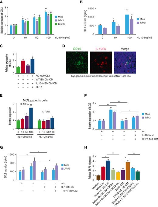 IL-10 regulates tumor-CCL3 expression. (A) Mino, JVM2, and Granta were treated with indicated concentrations of rIL-10 for 48 hours, and CCL3 expression was assessed using qRT-PCR. (B) Mino and JVM2 cells were treated with indicated concentrations of rIL-10 for 48 hours, and secretion of CCL3 was assessed using ELISA. (C) FC-muMCL1 cells were treated with CM collected from WT or IL-10-/- BMDM treated with or without rIL-10, and the expression level of CCL3 was assessed using qRT-PCR. (D) Immunofluorescent staining was performed on the syngeneic mouse tumors bearing FC-muMCL1 (n = 3) using CD19 (green) and IL-10Rα (red) antibodies. Nuclei were stained with DAPI (blue). A representative experiment is shown. (E) Cells of patients with MCL (n = 5) were treated with indicated concentrations of rIL-10 for 48 hours, and the mRNA level of IL-10Rα and IL-10Rꞵ were assessed using qRT-PCR. (F-G) THP1-MΦ CM was used to treat Mino and JVM2 cells infected with IL-10Rα shRNA or scramble shRNA for 72 hours, and the CCL3 mRNA level (F) and CCL3 secretion (G) were assessed using qRT-PCR and ELISA, respectively. (H) THP1 cells were incubated with CM collected from Mino or JVM2 pretreated with or without 100 ng/mL rIL-10 for 48 hours with 1μM CCR1 inhibitor or 0.5 μg/mL anti-CCL3 antibody, and the migration was assessed using chemotaxis assay. Data presented are representative of 3 independent experiments unless stated otherwise (∗P < .05; ∗∗P < .01).