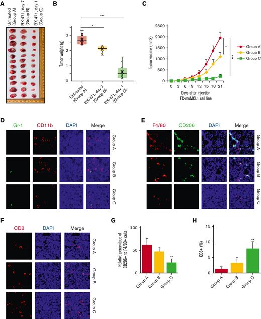 In vivo targeting of CCR1 in a syngeneic lymphoma mouse model. (A) Typical photos of syngeneic mouse tumors bearing murine MCL cell line FC-muMCL1 on day 21 from untreated and BX-471 (50 mg/kg) treated early (day 1) and late (day 7) groups. (B) Tumor weight was assessed among the indicated groups. Treatment with BX-471 decreased tumor weight when measured at day 21 (n = 6 mice) (∗P < .05; ∗∗∗P < .001) (C). Tumor volume was assessed among the indicated groups. BX-471 treatment decreased tumor volume when measured at day 21 (n = 6 mice) (∗P < .05; ∗∗∗P < .001). (D) IF was performed on the syngeneic mouse tumors using Gr-1 (green) and CD11b (red) antibodies. The experiment was repeated on 3 mouse tumors. (E) Immunofluorescent staining was performed on the syngeneic mouse tumors using F4/80 (red) and CD206 (green) antibodies. Nuclei were stained with DAPI (blue). (F) Immunofluorescent staining was performed on the syngeneic mouse tumor using a CD8 antibody (red). (G-H) Bar diagram of the relative percentage of CD206+ to F4/80+ cells in control and CCR1 inhibitor–treated groups (G); Bar diagram representing the percentage of CD8+ T cell infiltration (H). Data represent the mean of the 5 to 10 microscopic fields. All staining was performed on at least 3 mouse tumors and a representative image is shown.
