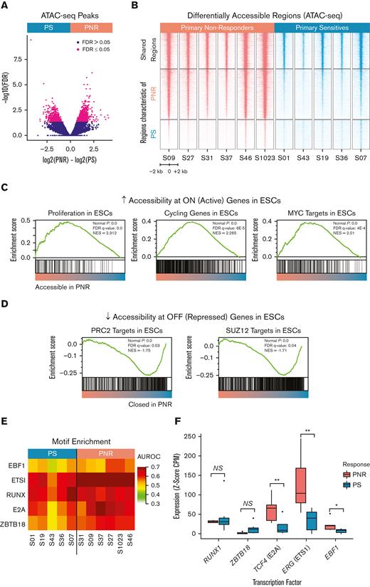 Differential chromatin accessibility, motif, and gene expression analysis of PNR and PS leukemia. (A) Volcano plot comparing chromatin accessibility between PNR and PS leukemias. PNR and PS defining accessible regions (n = 2128) were determined by an FDR ≤ 0.5. (B) Heatmap depicting ATAC-seq peaks by sample at accessible regions shared and regions defining leukemias from PNR and PS. (C) GSEA shows increased accessibility at regions known to be active in embryonic and cancer stem cells in PNR. (D) GSEA shows decreased accessibility at regions known to be repressed in embryonic and cancer stem cells in PNR. (E) Heatmap showing the area under the receiver operating characteristic (AUROC) for key motif enrichment in regions whose accessibility was specific to leukemia cells, as determined by MEDEA.26 (F) Box plots showing increased RNA expression of the indicated TFs, measured for each leukemia sample as the Z-score of CPM (counts per million reads) values against 53 normal human tissues profiled by the GTeX consortium. Each of the presented TFs is both upregulated and known to bind to one of the motifs enriched in PNR leukemias. NS, not significant; ∗∗P ≤ .01; ∗P ≤ .05.