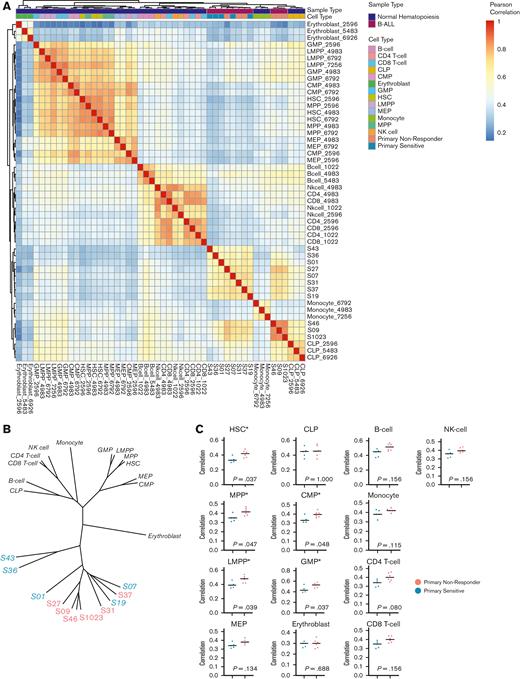 Comparisons of chromatin accessibility patterns from a data set of normal hematopoiesis with patients in this study. (A) Heatmap showing Pearson correlation values between pretreatment leukemias and 13 subtypes of cells from different stages of normal hematopoietic development. (B) Phylogenetic tree based on Pearson correlation between leukemias and subtypes of normal hematopoiesis from 3 separate healthy human donors. (C) Comparisons between PNR and PS stratified by similarity with healthy cells of hematopoietic development by Pearson correlation show that PNR (coral) are more similar to hematopoietic progenitors than PS (blue). There is no difference between the groups’ similarities to B cells or CLPs. Statistical significance was determined by Kolmogorov-Smirnov tests, and significance (P ≤ .05) is noted (∗). CMP, common myeloid progenitor; CLPs, common lymphoid progenitors; GMP, granulocyte-macrophage progenitor; HSC, hematopoietic stem cell; LMPP, lymphoid-primed multipotent progenitor; MPP, multipotent progenitor; MEP, megakaryocyte-erythroid progenitor; NK-cell, natural killer cell.