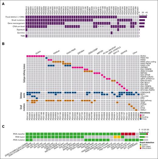 Comprehensive genome profiling using WGS. (A) Heatmap describing the presence of genomic markers detected via WGS in 52 cases, with samples in columns and markers in rows: (a) focal deletions (<10 Mb) in tumor suppressor genes, (b) small mutations (SNV/insertion and deletion) in cancer genes, (c) recurrent gene rearrangements seen in ALL, (d) arm-level CNA, (e) outlier SBS mutational signature profile, (f) germ line variant, and (g) outlier tumor mutation burden (TMB). (B) Oncoplot of true B-other cases (n = 47) showing subtype defining lesions and recurrent deletion events and genes recurrently targeted by small mutations (SNVs/INDELs) in OncoKB or putative drivers identified in the “other” category. (C) Comparison of WGS-defined subtypes with RNA expression subtype classification and RNA fusion calling in 31 cases with both DNA and RNA data available. ∗ denotes samples with suboptimal copy number profiles; ITD, internal tandem duplication.