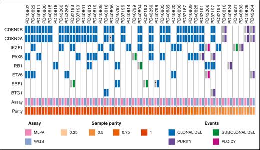 MLPA and WGS copy number comparison. Tile plot comparing deletions across MLPA (P335) target genes, called via MLPA and WGS (ASCAT and BRASS). For each case, the events recovered by the MLPA and WGS are shown as paired columns. Events missed by MLPA are marked by a gray tile. ∗ denotes the 2 events missed owing to the MLPA probe placement.