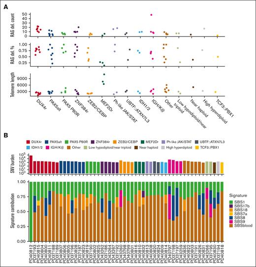 Mutational patterns. (A) Dot plot showing the RAG burden (total count and percent of all deletions) and telomere length for each subtype. (B) Plot showing the total SNV burden (top) and the normalized SBS signature exposure (bottom). (C) 96 context mutational profiles of SBS1, SBS9, SBS18, and SBS blood.