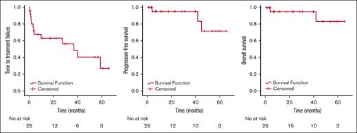 Kaplan-Meier curves showing the TTF, PFS, and OS. TTF (left), PFS (middle), and OS (right).