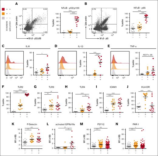 SARS-CoV-2–containing MKs produce NF-κB-mediated cytokines and have a hyperactivated phenotype. (A) Flow cytometry plot of circulating MKs showing expression of NF-κB subunit p65. Quantification of p65 expression in the 3 MK subpopulations (n = 14 donors). (B) Flow cytometry plot of circulating MKs showing expression of NF-κB subunit p52/p100. Quantification of p52/p100 expression in the 3 MK subpopulations (n = 14 donors). (C-E) Histograms and accompanying quantification of PrimeFlow flow cytometry for cytokines in circulating MKs. (C) IL-6 (n = 8 donors), (D) IL-1β (n = 8 donors), and (E) TNF-α (n = 8 donors). (F-J) Percent positive quantification for immunomodulatory proteins from flow cytometry on circulating MKs (n = 14 donors), (F) TLR2, (G) TLR3, (H) TLR4, (I) ICAM1, and (J) HLA-DR. (K-N) Mean fluorescent intensity quantification of (K-L) MK activation markers and (M-N) MK drug targets. (K) P-selectin (n = 20 donors), (L) activated GPIIb/IIIa (n = 11 donors), (M) P2Y12 (n = 82 donors), and (N) PAR-1 (n = 138 donors). Dashed lines in panels K-N represent the geometric mean for the respective isotype control. Percent positive graphs for antibody-based stains in panels A-B,F-J represent percent positive relative to the respective isotype control. All statistical analyses were performed using one-way ANOVA with Tukey post hoc multiple comparisons test. All graphs are given as mean ± SEM. Adjusted P values are ∗P = .05 to .01; ∗∗P = .01 to .001; ∗∗∗P = .001 to .0001; ∗∗∗∗P < .0001. TNF-α, tumor necrosis factor α.