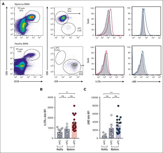 Increased expression of IL-27Rα and JAM2 on aPCs from patients with MM. (A) BMA samples from patients with MM who were participating in the UKMRA Myeloma XII (ACCoRD) trial or from patients being treated for elective nonunion fracture repair (as healthy controls) were assessed via flow cytometry for the expression of IL-27Rα and JAM2. PCs were identified based on CD38/CD138-positivity followed by the distinction of aPC (CD56hi CD19lo) and healthy PC (hPC; CD56lo CD19hi). Representative dot plots and histograms showing the expression of IL-27Rα and JAM2 compared with that of isotype control in aPCs from patients with MM and PCs from healthy controls. (B-C) Data from individual patient samples from healthy controls and patients with MM (healthy PC in cases with sufficient events, see text) and aPC are shown; (B) IL27-Rα; (C) JAM2. ∗∗P < .01; ∗∗∗P < .001 using Student t test.