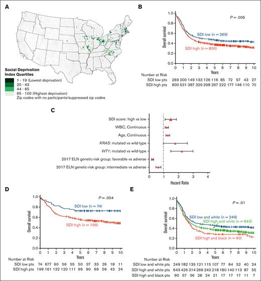 Geographic distribution and treatment outcomes of adults with AML with respect to SDI assignments, race, and genetic-risk profile. (A) Map of the United States with light-green to dark-green color scale indicating the calculated SDI based on patients’ home zip code. Dark color corresponds to lower SDI score. (B) OS of patients with AML aged <60 years with respect to their SDI grouping (high vs low). (C) Forest plot depicting final multivariable model for OS. (D) OS of patients with AML belonging to the favorable genetic-risk group of the 2017 European LeukemiaNet classification, comparing patients with high SDI with those with low SDI. (E) OS of high- vs low-SDI groups of patients with AML with respect to the patients’ self-reported race. Only 3 Black patients belonged to the low-SDI group and are not depicted in the graphic.