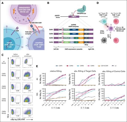 Generation of TCR/CD3-specific CAR NK-92 cell lines for the removal of residual TCR+ T-cells from TCR-deleted CAR T-cell product. (A) Outline of the cell-mediated purification strategy. Gamma-irradiated NK-92 cells equipped with a TCR/CD3-specific CAR are added to expanding TCR– CAR T-cells. This coculture then leads to the removal of residual TCR-wild-type T-cells from the TCR– CAR T-cell product. (B) Generation of TCR/CD3-specific CAR NK-92 cell lines by site-specific integration of 4 CAR transgenes (termed CAR1-CAR4), with specificity for either the TCRα/β dimer or CD3ε in the human AAVS1 safe-harbor locus. (C) CAR expression after knockin (left) and MACS-enrichment. (D,E) Experimental setup and results of flow cytometric VITAL assays used to test target-specific cytotoxicity of the 4 TCR/CD3-CAR NK-92 cell lines. The VITAL assays were set up as cocultures of unlabeled effector (E) TCR/CD3-CAR NK-92 cells, DDAO-labeled C cells TRAC-KO (TCR-negative) T-cells, and CFSE-labeled target (T) wild-type T-cells. Relative killing was calculated from T:C ratios at 4 and 16 hours after the start of the coculture.