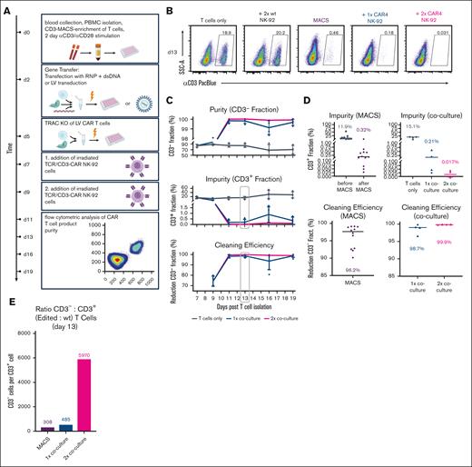 Optimization of TCR/CD3-CAR NK-92 cell–mediated purification and comparison with MACS-mediated CD3-depletion. (A) Experimental setup for lentiviral (LV) or virus-free TCR-to-CAR replacement and subsequent NK-92 cell–mediated depletion of residual TCR-unedited cells in 1 or 2 coculture cycles. n = 4, TRAC-edited CAR T-cell lines derived from 2 donors (per donor: 1 × LV CAR gene transfer + TRAC-KO and 1 × TRAC-CAR knockin). (B) From left to right: representative flow cytometry dot plots of virus-free TRAC-integrated CAR T cells when cultured alone, after 2 coculture cycles with unedited NK-92 cells, after MACS-mediated CD3-depletion (independent experiment), or after 1, or 2 coculture cycles with TCR/CD3-specific (CAR4) NK-92 cells. (C) Summary of purity, impurity (in terms of the residual TCR/CD3+ cells), and cleaning efficiency (relative reduction of the CD3+ fraction) after 0, 1, or 2 coculture cycles. (D) Impurity and cleaning efficiency after MACS-mediated CD3-depletion (left, independent experiment; n = 12) or coculture with TCR/CD3-specific (CAR4) NK-92 cells. Data point shapes: triangular, LV gene transfer; round, virus-free gene transfer. (E) Ratio of successfully edited (TCR/CD3-) cells per residual unedited (TCR/CD3+) wild-type cell.