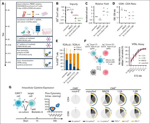 Characterization of G-Rex-expanded TCR/CD3-depleted CAR T-cell products. (A) Experimental setup for nonviral TRAC integration of CD19-CAR into primary human T cells and subsequent CAR4 NK-92 cell–mediated depletion of residual TCR-unedited cells. (B-E) Product characteristics on day 14 after T-cell isolation: (B) residual TCR/CD3+ (wild-type) T-cell fraction (unpurified refers to the condition previously termed as T cells only); (C) normalized total cell counts; (D) CD8:CD4 ratios; and (E) TCRα/β:TCR γ/δ ratios within residual CD3+ T-cell fractions. (F) 6 hour VITAL assay to assess the target-specific cytotoxicity of differently purified CD19-CAR T cells. (G) Intracellular cytokine expression assay to assess the effector function of CD19-CAR T cells after CD19+ target cell encounters. mock-E, mock-electroporated wild-type T-cell controls.