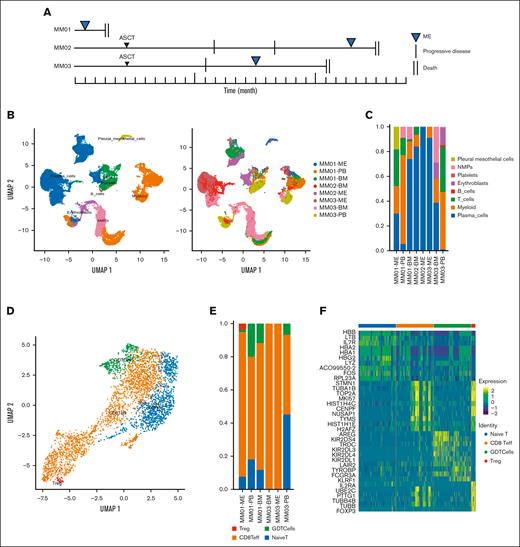 Single-cell atlas of the immune microenvironment in MM. (A) Disease course in 3 patients with MM with the extramedullary disease. (B) Analysis of cell clusters using UMAP, showing the annotation and color codes for cell types in extramedullary sites; (left) 37 731 cells color-coded based on cell type; (right) 37 731 cells color-coded by sample. (C) Proportion of cell types in the BM and PB of 3 patients with MM. (D) UMAP plot of immune cell subsets in the myeloma microenvironment. Red: regulatory T cells; green: γδ T cells; orange: CD8+ effector T cells; and blue: naive T cells. (E) T-cell subtypes in the BM, ME, and PB of 3 patients with MM. (F) DEGs in 4 T-cell subtypes. ASCT, autologous stem cell transplantation; NMPs, neuromesodermal progenitors; PMCs, pleural mesothelial cells.