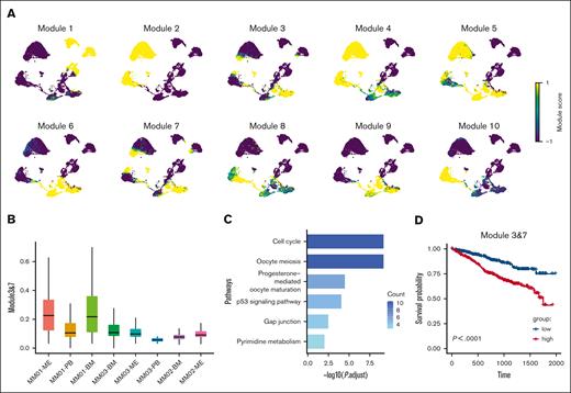 Gene modules 3 and 7 play a role in myeloma cell migration and viability. (A) z scores of 10 gene modules highly expressed in PCs from the BM and extramedullary sites. (B) Scores for gene signatures 3 and 7 in MPC clusters. (C) Pathways significantly enriched in EMICs. The cut-off criterion was a false-discovery rate <0.01. (D) Overall survival of patients with different expression of gene sets 3 and 7. Statistical significance was calculated using the log-rank test.