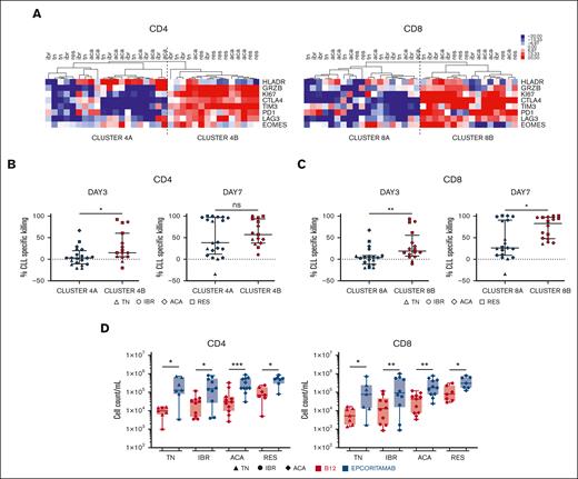 Epcoritamab induces autologous T-cell activation and expansion. Markers of T-cell activation and cytotoxic potential were assessed via flow cytometry, in PBMCs from patients who were TN (n = 7), IBR (n = 10), or ACA (n = 11) cultured with epcoritamab or B12 control for 3 days. Samples from RES (n = 7) were also included. (A) Heatmap depicts the median centered frequencies of CD4+ and CD8+ T cells expressing the indicated markers; samples were grouped based on hierarchical clustering. Comparison of CLL-specific killing after 3 and 7 days of treatment between grouping based on (B) CD4 activation and (C) CD8 activation state. Each symbol represents 1 patient sample, and the median and interquartile range are indicated. (D) CD4+ and CD8+ T-cell counts were quantified via flow cytometry after 7 days of culture with epcoritamab (blue symbols) or B12 control (red symbols). Each symbol represents 1 patient sample. Asterisks indicate statistical significance using Wilcoxon matched-pair signed rank test for comparison of different treatments applied to individual patient samples and Mann-Whitney test for comparison of different patient groups. ∗P < .05; ∗∗P < .001; ∗∗∗P< .001.