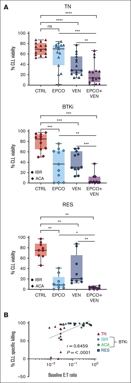 The combination of epcoritamab with venetoclax induced a higher degree of CLL cytotoxicity in vitro than either agent alone. PBMCs from patients who were TN (n = 15), patients treated with BTKi (BTKi, n = 11; IBR, 4; and ACA, 7), and patients who were RES (n = 9) were cultured with either B12/dimethyl sulfoxide control (CTRL), epcoritamab (EPCO), 5nM venetoclax (VEN), or the combination of epcoritamab with venetoclax (EPCO + VEN). (A) CLL cell viability after 7 days of culture. (B) Spearman correlation of baseline E:T ratios and percentage of CLL cell–specific lysis in samples from all 3 groups cultured with EPCO + VEN for 7 days. Asterisks indicate statistical significance using Wilcoxon matched-pair signed rank test for the comparison of different treatments applied to individual patient samples. ∗P < .05; ∗∗P < .01; ∗∗∗P < .001; ∗∗∗∗P < .0001.