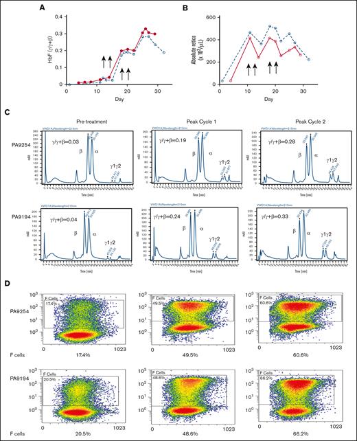 Effect of drug combination on anemic baboons. (A) Effect on absolute reticulocyte counts in PA 9194 (solid line) and PA 9254 (dashed line). (B) Effect on HbF (γ/γ + β). (C) HPLC chromatograms showing the increase in HbF observed after the administration of 1 cycle and 2 cycles of the drug combination in PA 9254 (top row) and PA 9194 (bottom row). (D) Flow cytometry data showing levels of F-cells pretreatment after 1 cycle and 2 cycles of drug administration in PA 9254 (top row) and PA 9194 (bottom row).